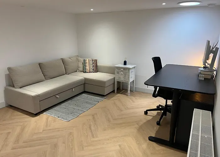 Luxurious Sunny نوردفيك