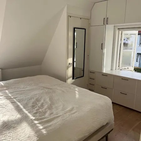 Luxurious Sunny 别墅