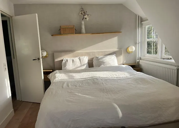 Luxurious Sunny Villa Noordwijk